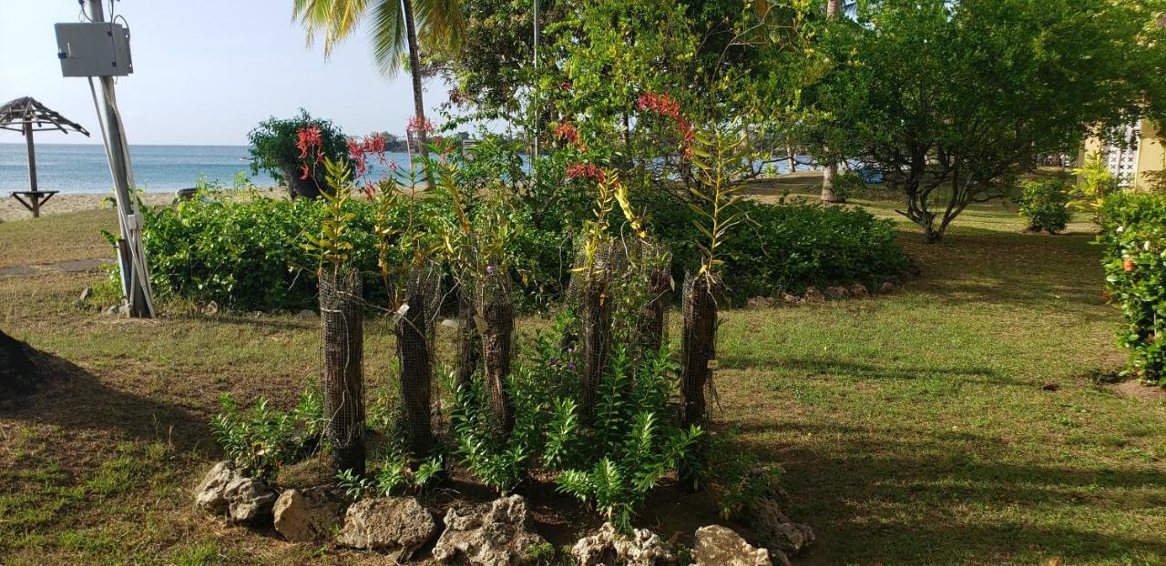 Starfish Tobago Hotel Black Rock Eksteriør billede