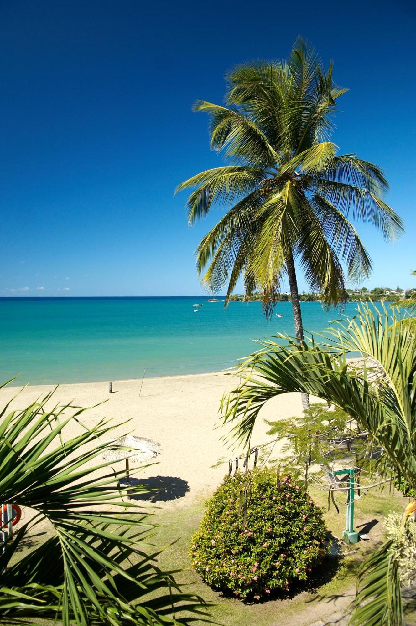 Starfish Tobago Hotel Black Rock Eksteriør billede