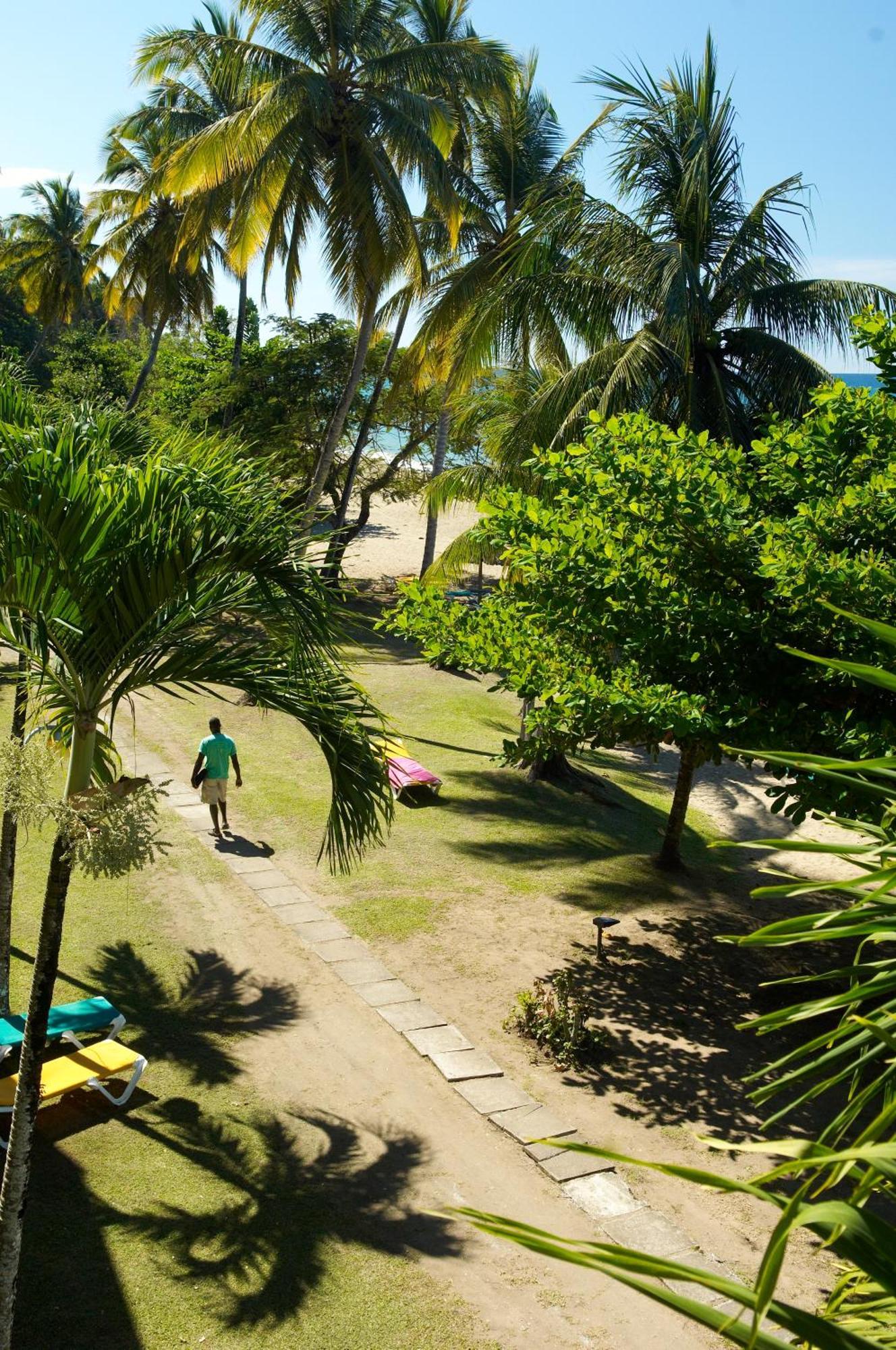 Starfish Tobago Hotel Black Rock Eksteriør billede