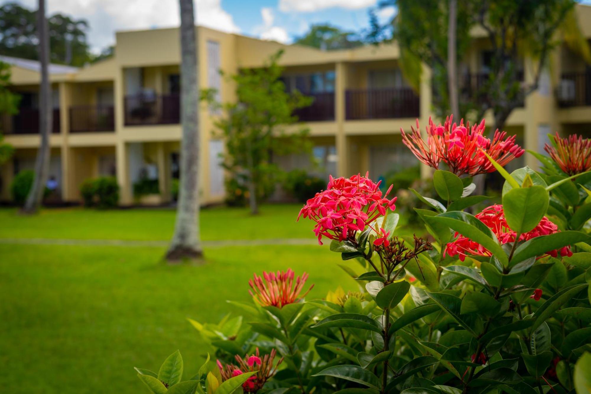 Starfish Tobago Hotel Black Rock Eksteriør billede
