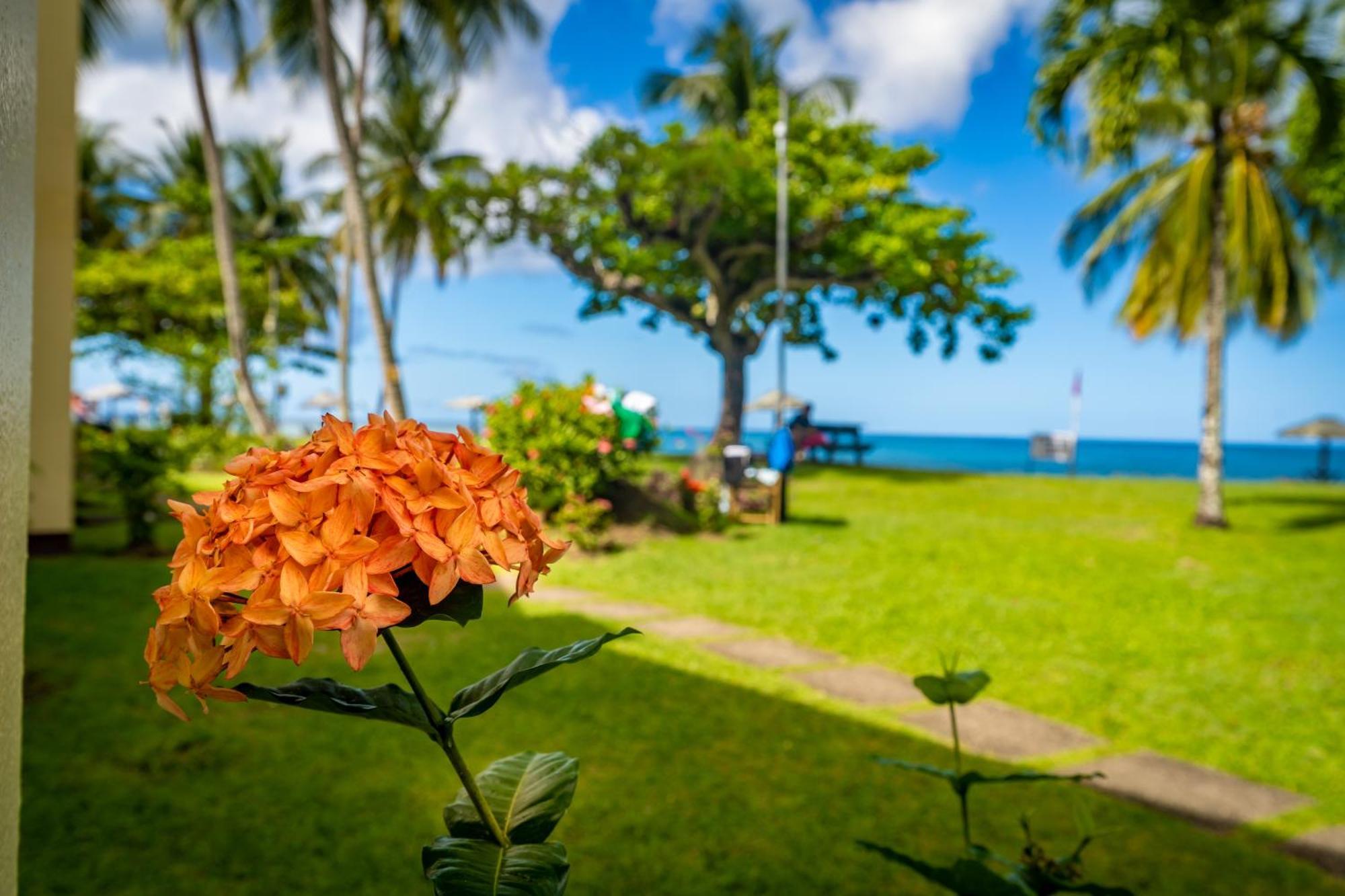 Starfish Tobago Hotel Black Rock Eksteriør billede